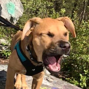 Meet your Posher, Caleb